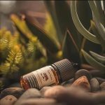 生命之樹小煙油