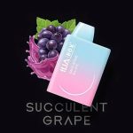 ILIA 哩啞 拋棄式電子菸